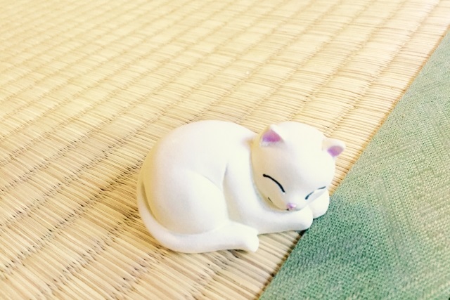 畳を猫から守る最適な方法 ジョイントマットnavi